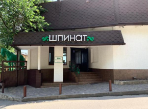 Отель Shpinat  Одесса